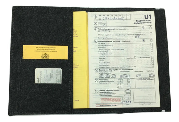 U-Heft Hülle aus Filz mit Namen und Impfpassfach Sterne in Stern mint Fadensalat-shop